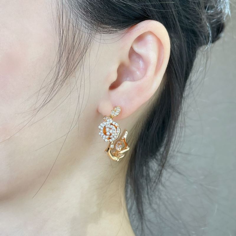 Christian Dior Earrings